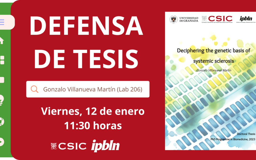 Tesis doctoral de Gonzalo Villanueva Martín